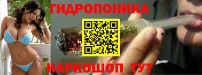 шишки Коммунар