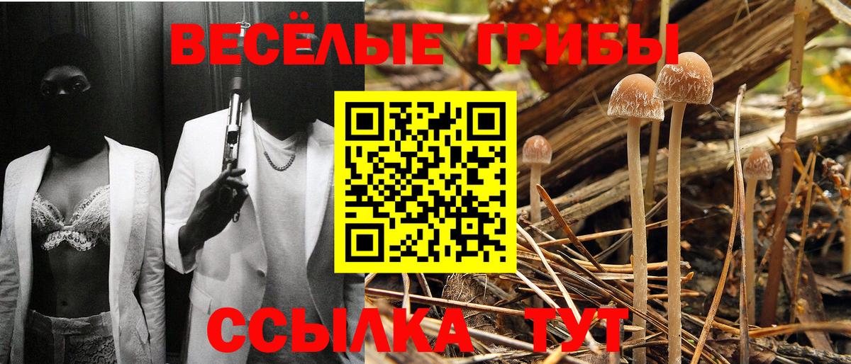 Галлюциногенные грибы MAGIC MUSHROOMS  Вход с VPN  Галлюциногенные грибы мухоморы  Кушва 