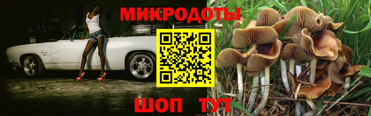 Галлюциногенные грибы Psilocybine cubensis Кушва