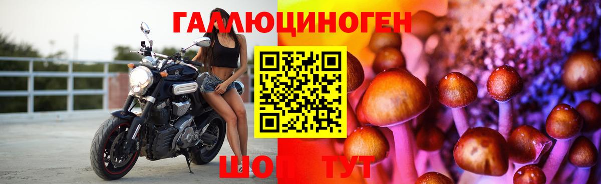 Галлюциногенные грибы Psilocybine cubensis Кушва